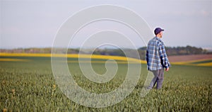 Agriculture Farmer Walking on Agricultural Young Wheat Field Examining Crops.
