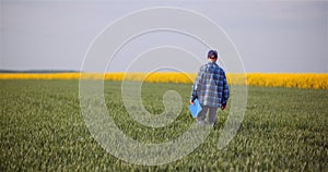 Agriculture - Farmer Walking on Field Examining Crops at Agricultural Farm.