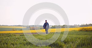 Agriculture - Farmer Walking on Field Examining Crops at Farm at Dusk.