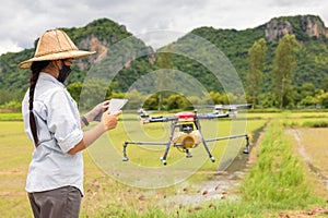 Agriculture farmer woman holds tablet to view a report on rice agriculture field, agriculture technology concept. Agriculture