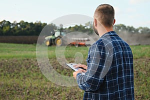 Agriculture. farmer working in a field in the background tractor plows ground in a field of wheat. farming agriculture