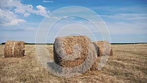 Agriculture farming concept slow motion video. haystacks on wheat field under the beautiful blue cloudy sky. Agriculture