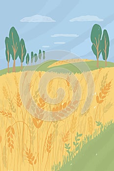 Agriculture or farming concept with wheat field landscape