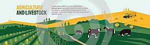 Agriculture, farming and livestock illustration