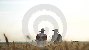 Agriculture farming silhouette two farmers men teamwork red neck in a field examining wheat crop at sunset. Male farmers