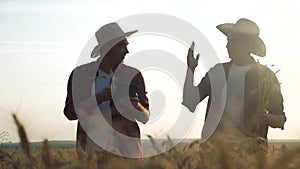 Agriculture farming silhouette two farmers men teamwork red neck in a field examining wheat crop at sunset. male farmers
