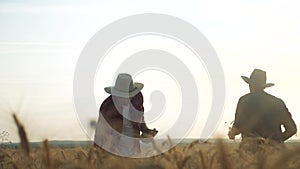 Agriculture farming silhouette two farmers men teamwork red neck in a field examining wheat crop at sunset. male farmers