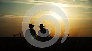 Agriculture farming two farmers men teamwork silhouette red neck in a field examining wheat crop at sunset. male farmers