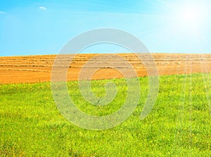 Agriculture field