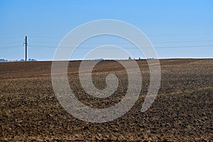 Agriculture field with blue sky and power lines. Rural nature in the farm land. Straw on the meadow.