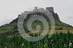 Agriculture field and Castle ruins of Spisky castle in Slovakia