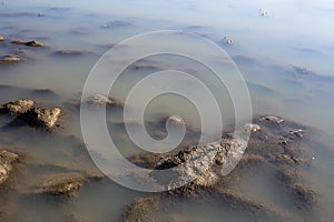 Agriculture field drenched under water flood