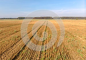 Agriculture field drone photography of cut crops