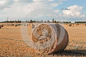 Agriculture field with hay bale and blue sky. Rural nature in the farm land. Straw on the meadow. Wheat yellow golden harvest in