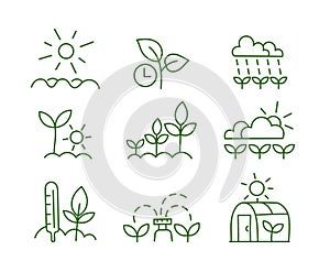 Agriculture field icons set. Growing plants. Editable stroke size. Vector line.