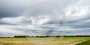 Agriculture field landscape before seeming photo