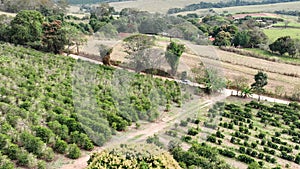 Agriculture Field at Rural Landscape in Countryside Brazil.