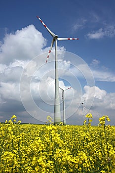 Agriculture field and wind mill power turbine