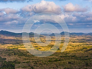 Agriculture fields from aerial with blue sky and white clouds