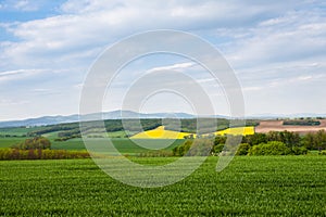 Agriculture fields composition