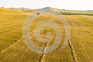 Agriculture fields with dry rows of fresh hay