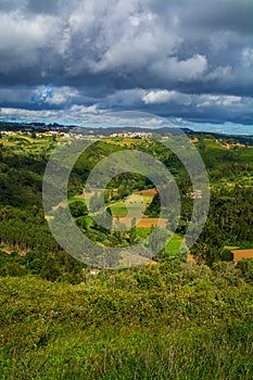 Agriculture fields in Ericeira