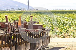 Agriculture Fields