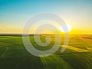 Agriculture fields in Lithuania