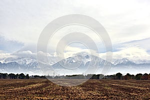 Agriculture fields near Issyk, Almaty