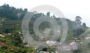 Agriculture fields and stacked houses built and trees on the kodaikanal tour place.