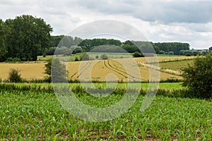 Agriculture fields, trees and green lawns at the Flemish countryside around Zwalm, Belgium