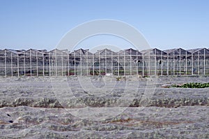 Agriculture, food production of vegetables: facade front of greenhouse for faster production at colder temperatures photo
