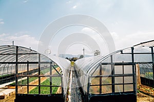 Agriculture greenhouse and rural countryside village in Nara, Japan