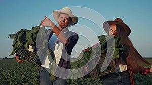 Agriculture. Group of farmers in walk on a green field with box teamwork. Business natural food agriculture concept