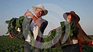 agriculture. group of farmers in walk on a green field with box teamwork. business natural food agriculture concept