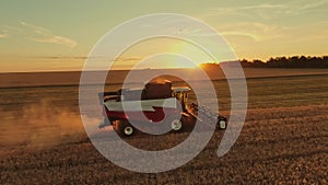 agriculture. harvester harvests wheat in a field at sunset. business farm agriculture concept. harvester combine working