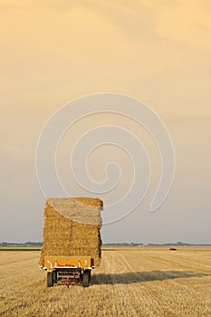 Agriculture Harvesting Hay