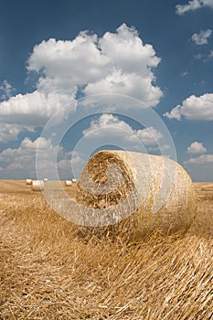 Agriculture - Haystack photo