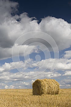 Agriculture - Haystack