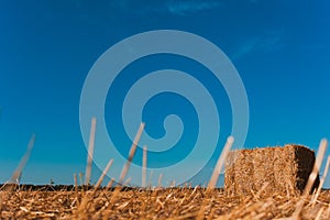 Agriculture - Haystack