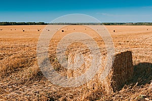 Agriculture - Haystack