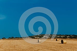 Agriculture haystack field