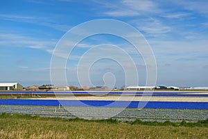 Agriculture in Holland