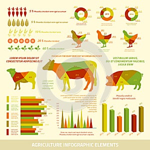 Agriculture infographics flat design elements