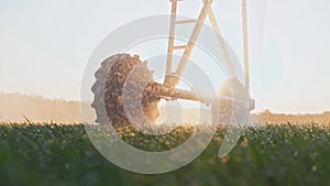 agriculture irrigation. business green a field wheat irrigation water drops. agriculture concept. farm field crop green