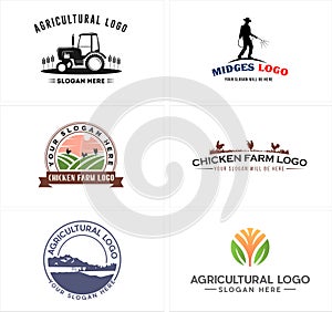 Agriculture land field chicken farm logo design