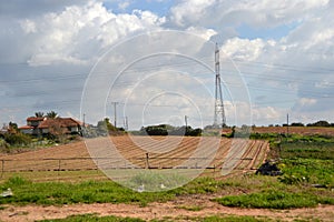 Agriculture landscape