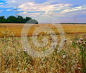 Agriculture landscape