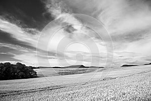 Agriculture Landscape