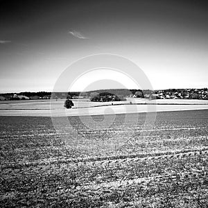 Agriculture landscape. Artistic look in black and white.